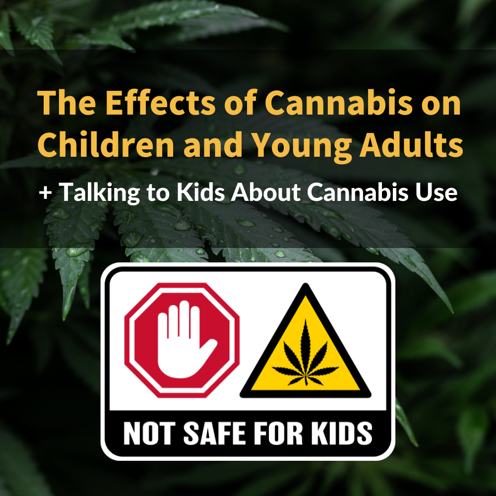 The Effects of Cannabis on Children and Young Adults
